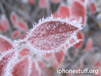 iPhone camera sample picture