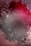 iPhone Wallpaper